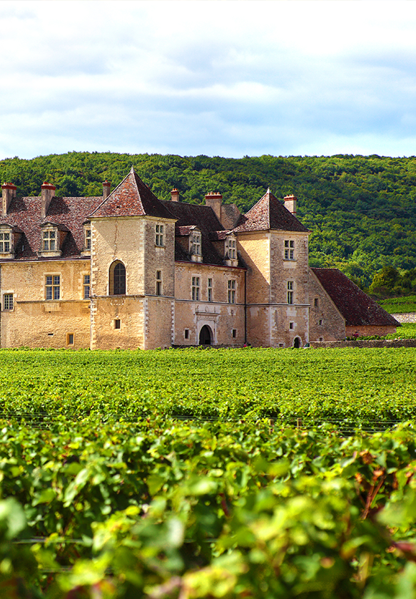 The Best Bordeaux under 50.-