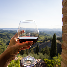 The Best Wines from Italy under 20.-