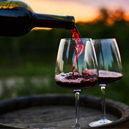 The best red wines for fall 2023