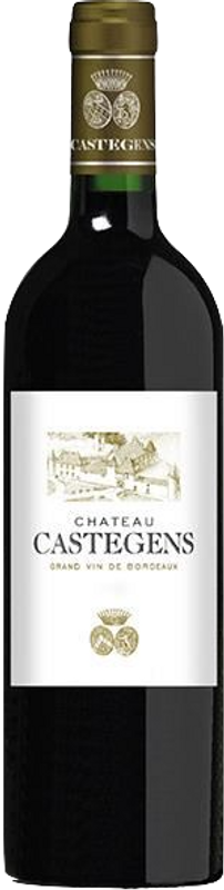Bottiglia di Château De Castegens Castillon Côtes De Bordeaux di Château De Pitray