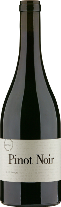 Bottle of Skript Pinot Noir Chilcheweg Hallau AOC Schaffhausen from Rutishauser-Divino