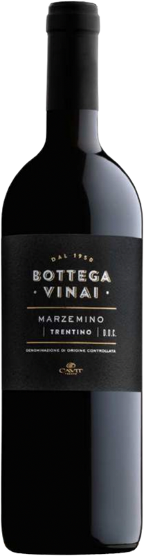 Bottiglia di Marzemino Trentino DOC Bottega Vinai di Cavit