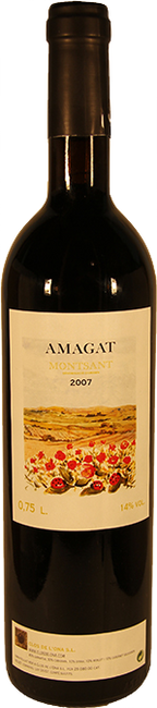 Image of Clos de l'Ona Amagat Montsant DO - 75cl - Katalonien, Spanien bei Flaschenpost.ch