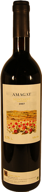 Bottle of Amagat Montsant DO from Clos de l'Ona