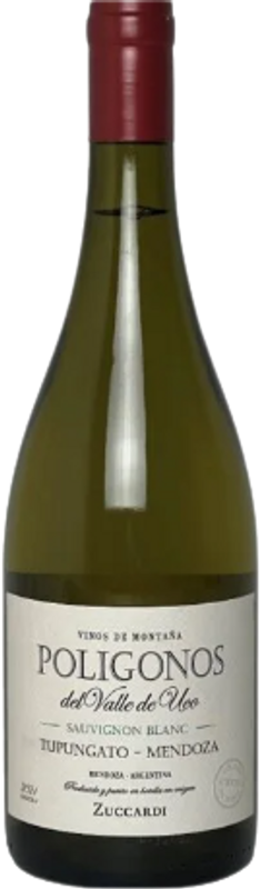 Bottiglia di Zuccardi Poligonos - Sauvignon Blanc Tupungato di Familia Zuccardi