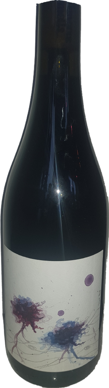 Bottle of Garnatxa-peluda DOQ Priorat from Silvia Puig