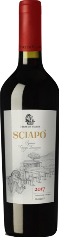 Bouteille de Sciapo Irpinia Campi Taurasini DOC de Terre di Valter