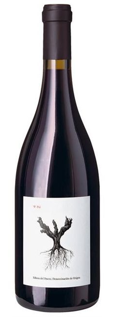 Image of Bodegas y Viñedos Alnardo PSI Ribera del Duero DO - 150cl - Duero-Tal (Castilla y Leon), Spanien bei Flaschenpost.ch