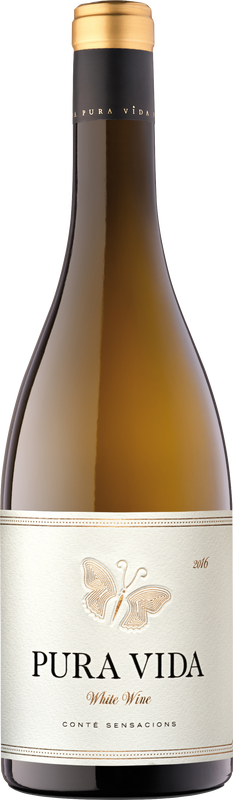 Bottle of Pura Vida Blanco Costers Del Segre DO from Cellers Underground