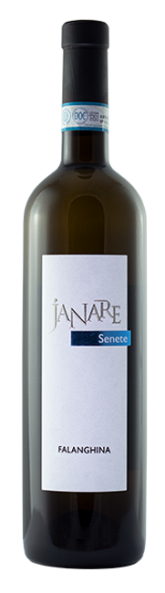 Image of Janare - La Guardiense Falanghina del Sannio DOP Senete - 75cl - Kampanien, Italien bei Flaschenpost.ch