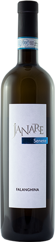 Bottle of Falanghina del Sannio DOP Senete from Janare - La Guardiense