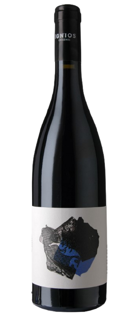 Image of Borja Pérez Ignios Orígenes Baboso Negro Ycoden Daute Isora DO - 150cl - Kanarische Inseln, Spanien bei Flaschenpost.ch