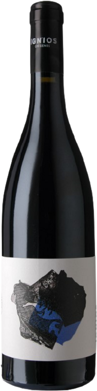 Flasche Baboso Negro Ycoden Daute Isora DO von Borja Pérez Ignios Orígenes