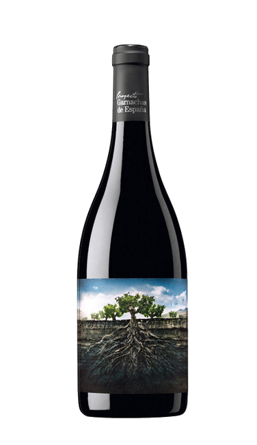 Image of Projecto Garnachas de Espana Salvaje del Moncayo - 75cl, Spanien bei Flaschenpost.ch