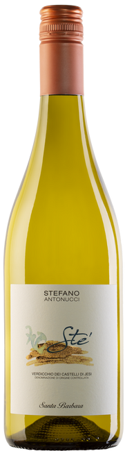 Image of Santa Barbara Sté Verdicchio DOC - 75cl - Marche, Italien bei Flaschenpost.ch