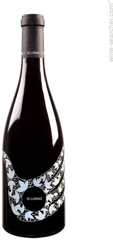 Bottle of Somontano DO 12 Lunas tinto from Bodegas El Grillo y la Luna