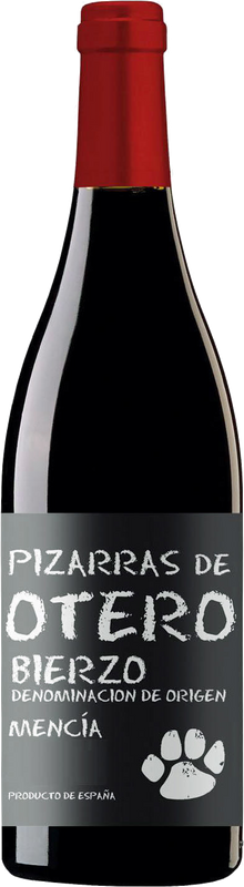 Flasche Pizarras de Otero Bierzo DO von Martín Códax
