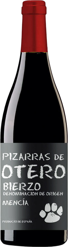 Bouteille de Pizarras de Otero Bierzo DO de Martín Códax