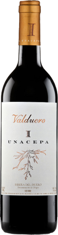 Image of Bodegas Valduero Ribera del Duero DO Valduero Una Cepa - 150cl - Duero-Tal (Castilla y Leon), Spanien