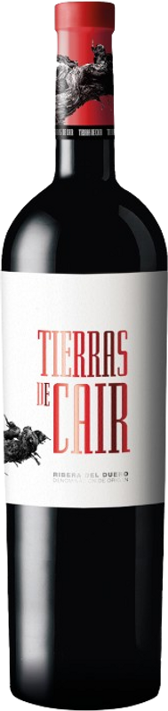 Bottle of Tierras de Cair Ribera del Duero DO from Dominio de Cair