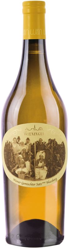 Bottiglia di Wiener Gemischter Satz Nussberg Alte Reben di Weingut Wieninger
