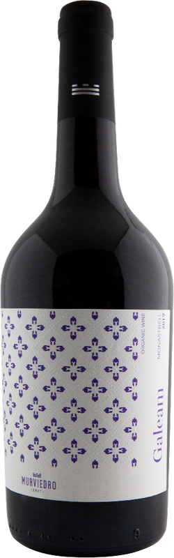 Flasche Galeam Monastrell Organic Alicante DOP von Murviedro