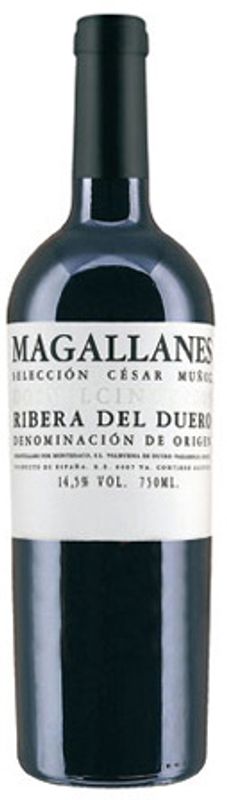 Bottle of Ribera del Duero DO Cesar Munoz from Magallanes