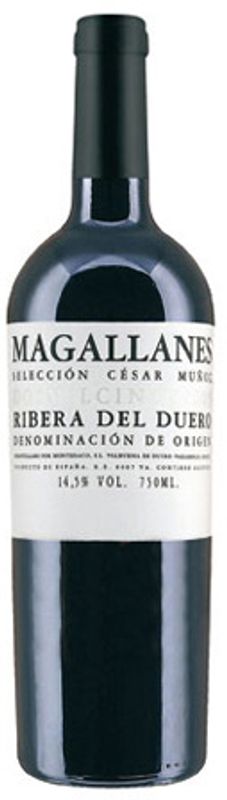Image of Magallanes Ribera del Duero DO Cesar Munoz - 75cl - Duero-Tal (Castilla y Leon), Spanien