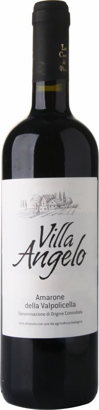 Flasche Amarone della Valpolicella Villa Angelo DOC von Gino Fasoli