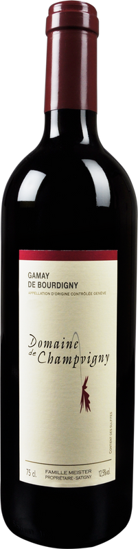 Bottle of Domaine de Champvigny Bourdigny Gamay from Hammel SA
