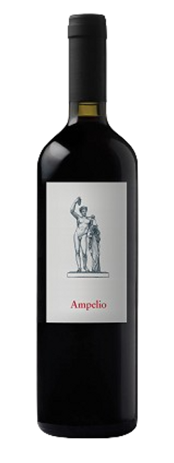 Image of Chiodi Ascona SA Ampelio Ticino DOC - 150cl - Tessin, Schweiz bei Flaschenpost.ch