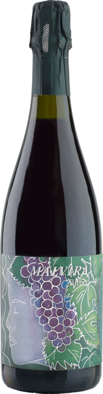 Bottle of Birbet Brachetto from Malvirà