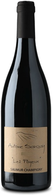 Image of Antoine Sanzay Champigny AB Les Poyeux - 75cl - Loire, Frankreich bei Flaschenpost.ch