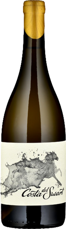Bottle of Costa del Swart Palomino from The Wine Thief