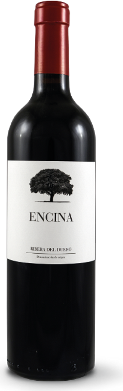 Flasche Encina DO von Encina