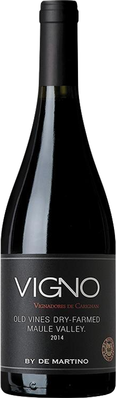 Bottiglia di Carignan Vigno La Aguada Vineyard Valle del Maule DO di De Martino