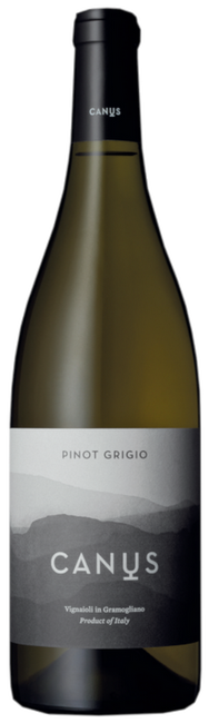 Image of Canus Pinot Grigio DOC Colli Orientali - 75cl - Friaul, Italien bei Flaschenpost.ch