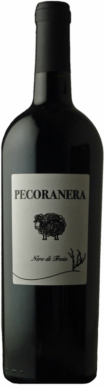 Bouteille de Pecoranera Rosso Puglia IGT de Cantine Risveglio