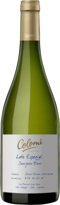 Bottiglia di Sauvignon Blanc Altura Maxima di Bodega Colomé