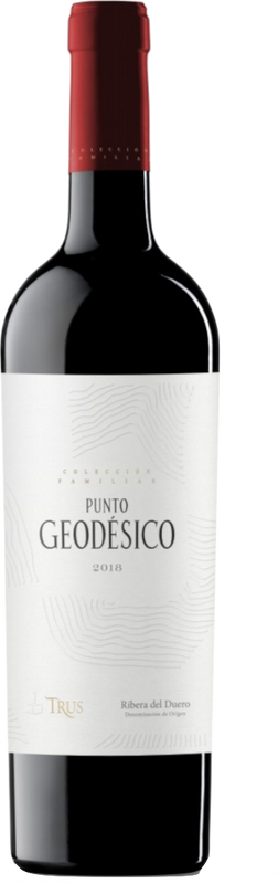 Flasche Punto Geodesico Ribera del Duero DO von Bodegas Trus