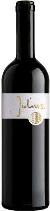 Bottle of Ligne d'or rouge du Valais AOC from Vins&Vignobles Julius SA