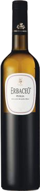 Flasche Erbàceo von Colli della Murgia