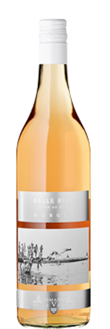 Image of Bolle Belle Rive Rosé Morges La Côte AOC - 75cl - Waadt, Schweiz bei Flaschenpost.ch