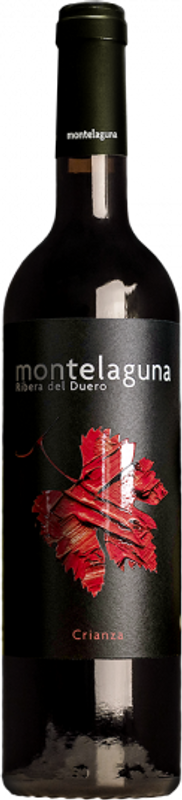 Bottle of Crianza Montelaguna Ribera del Duero DO from Dehesa Valdelaguna