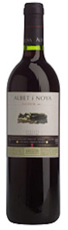 Flasche Lignum Negre DO von Albet i Noya