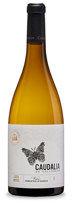 Image of Bodega Vallobera Vallobera Caudalia Rioja DOCa - 75cl - Oberer Ebro, Spanien bei Flaschenpost.ch