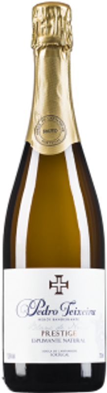 Image of Adega de Cantanhede Pedro Teixeira Bruto - 75cl - Bairrada, Portugal