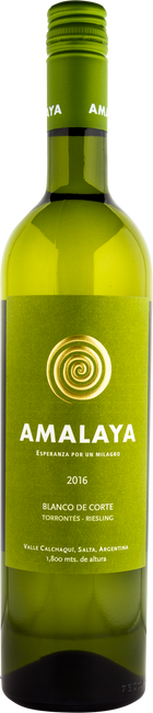 Image of Bodega Amalaya Amalaya Blanco de Corte - 75cl - Salta, Argentinien bei Flaschenpost.ch
