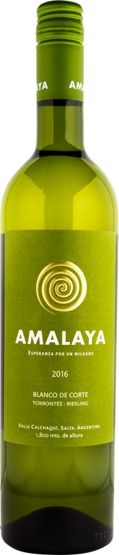 Bottle of Amalaya Blanco de Corte from Bodega Amalaya