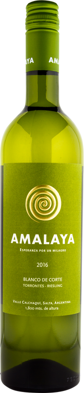 Bottiglia di Amalaya Blanco de Corte di Bodega Amalaya